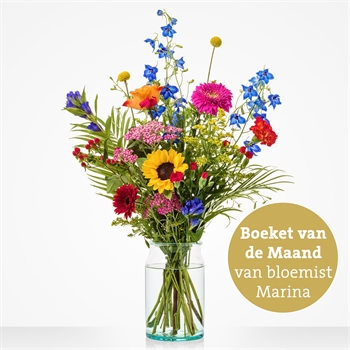 Maandboeket Juli / Augustus